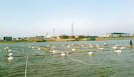 海面探測斷層構(gòu)造